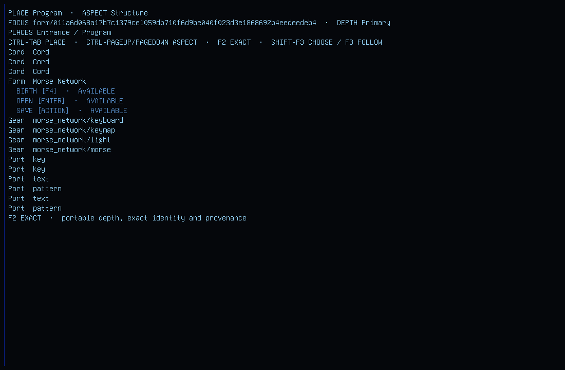 Morse Network Form manifested by the native software renderer